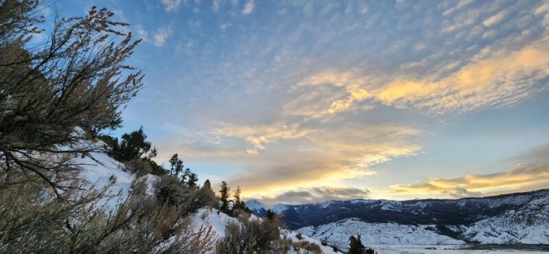 from-gardiner-yellowstone-national-park-snowshoe-tour