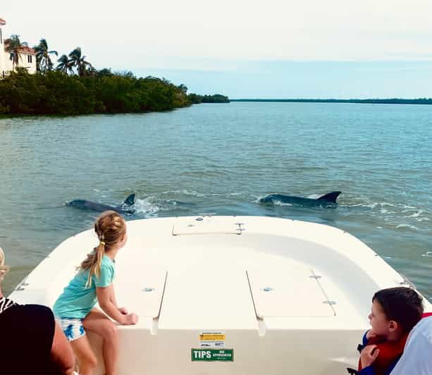 from-goodland-private-shelling-and-dolphin-watching-cruise