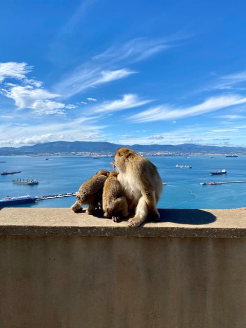 from-granada-day-trip-to-gibraltar
