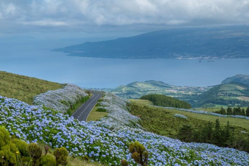 from-horta-guided-faial-island-tour