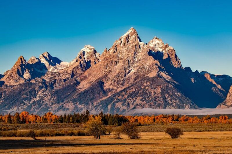 from-jackson-half-day-grand-teton-national-park-tour