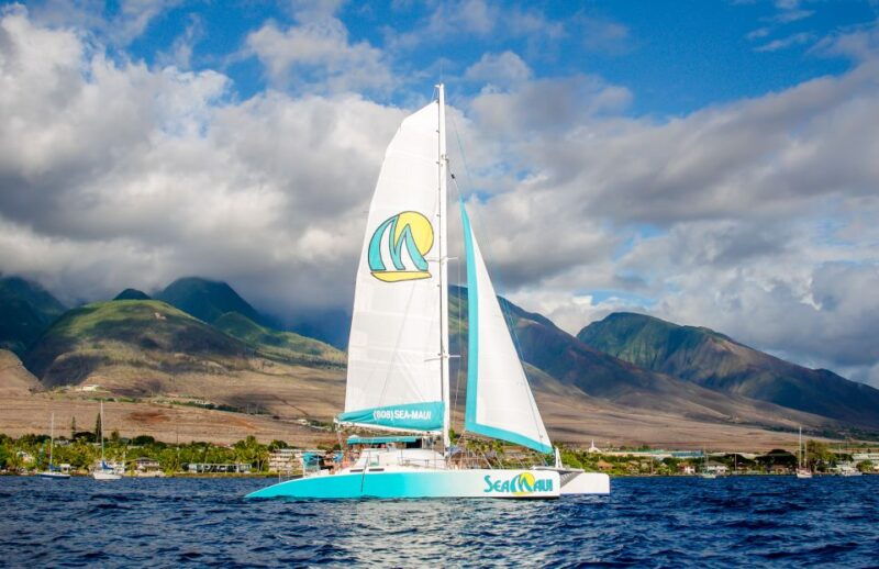 from-kaanapali-afternoon-west-maui-snorkeling-w-drinks