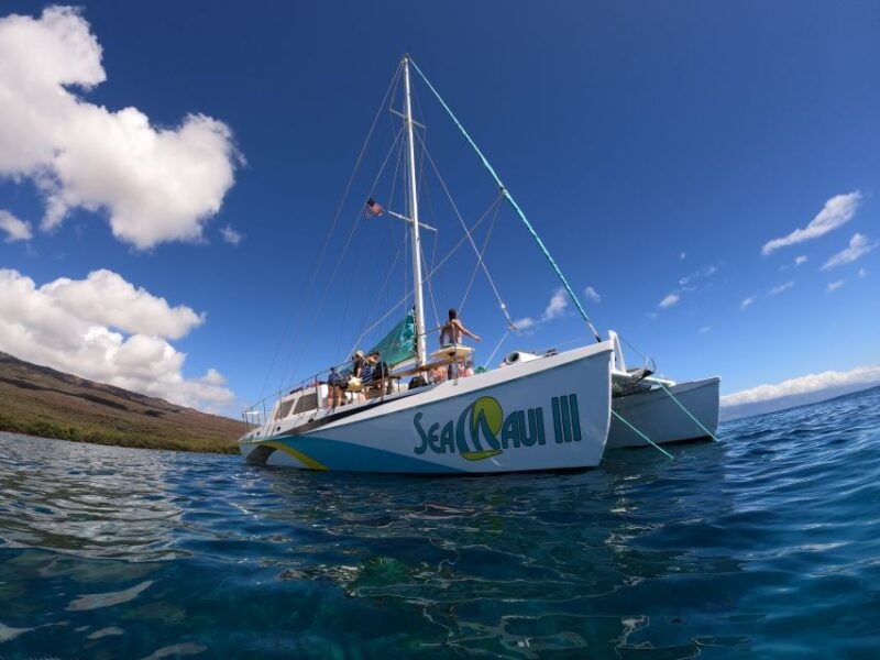 from-kaanapali-west-maui-half-day-snorkel-tour-w-food