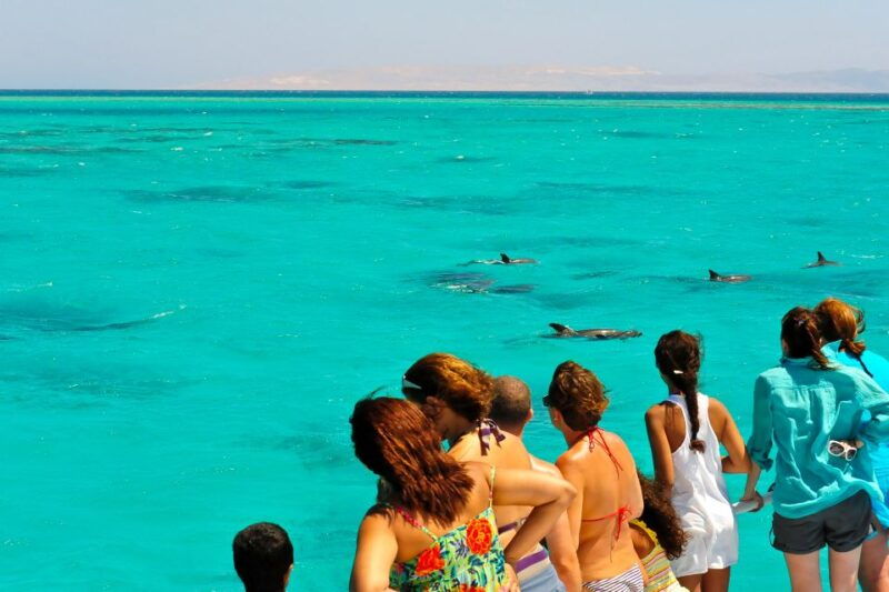 from-key-west-dolphin-watching-tour-with-lunch-drinks