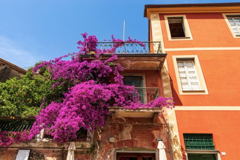 from-la-spezia-highlights-of-cinque-terre-with-a-guide