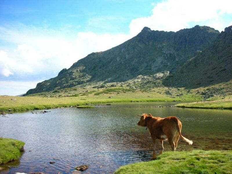 from-madrid-day-trip-to-guadarrama-national-park