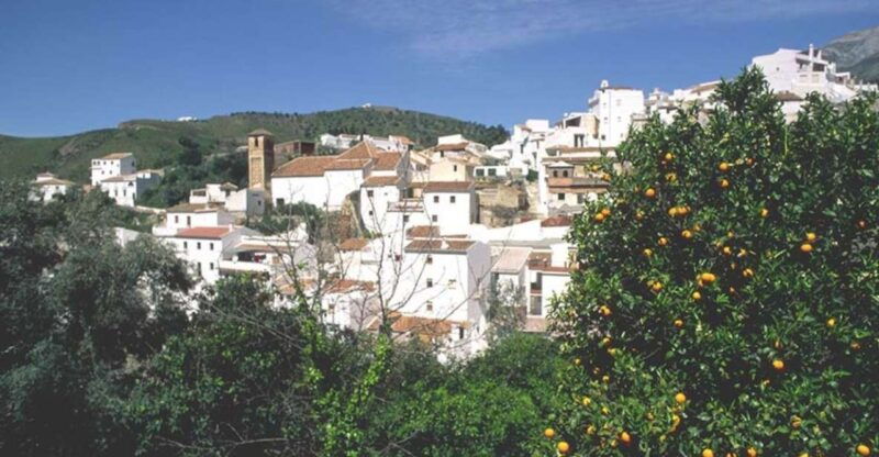 from-marbella-axarquia-wine-tour-with-wine-pairing-lunch