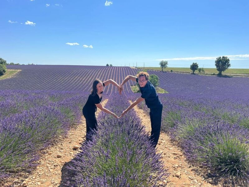 from-marseille-cruise-port-valensole-lavender