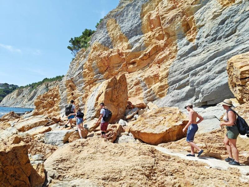 from-marseille-to-the-calanques-blueues-by-train-hike-lagoons-and-villages