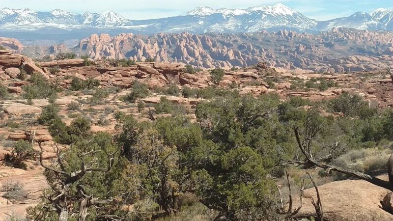 from-moab-rock-of-ages-moderate-rappelling-obstacle-course