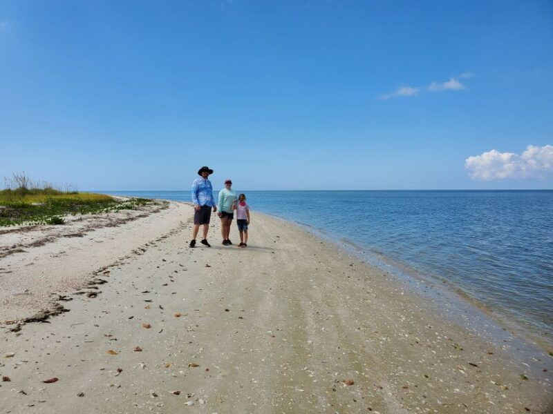 from-naples-10000-islands-boat-trip-everglades-walk