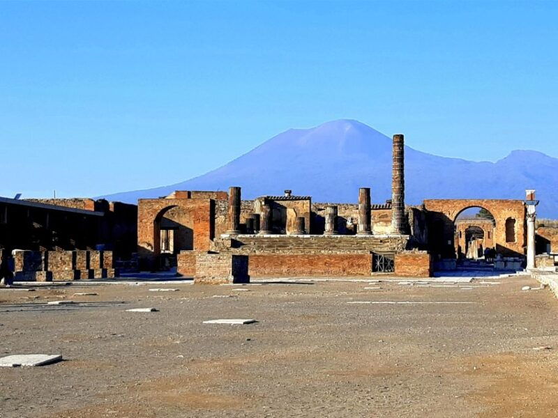 from-naples-private-tour-vesuvius-herculaneum-and-pompeii