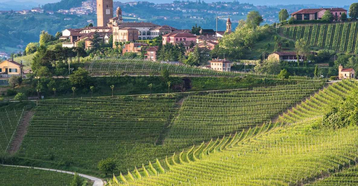from-neive-guided-e-bike-tour-to-barbaresco-and-treiso