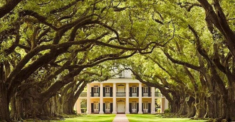 from-new-orleans-oak-alley-or-laura-plantation-tour