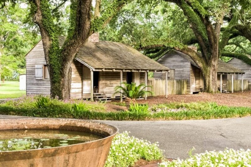 from-new-orleans-oak-alley-plantation-tour