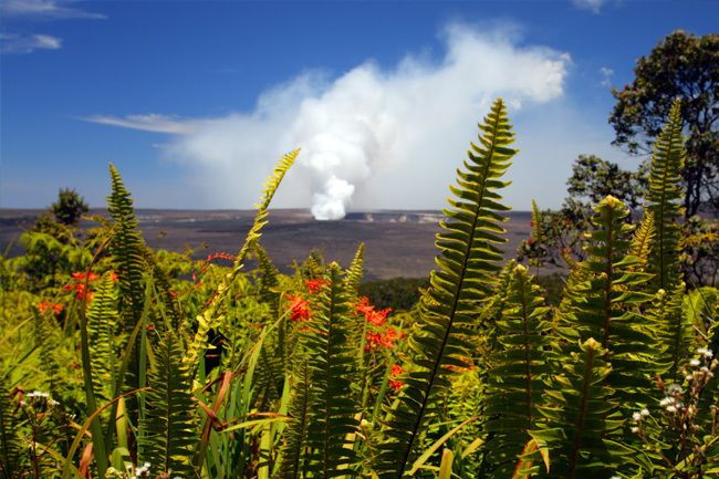 from-oahu-big-island-volcano-adventure-helicopter