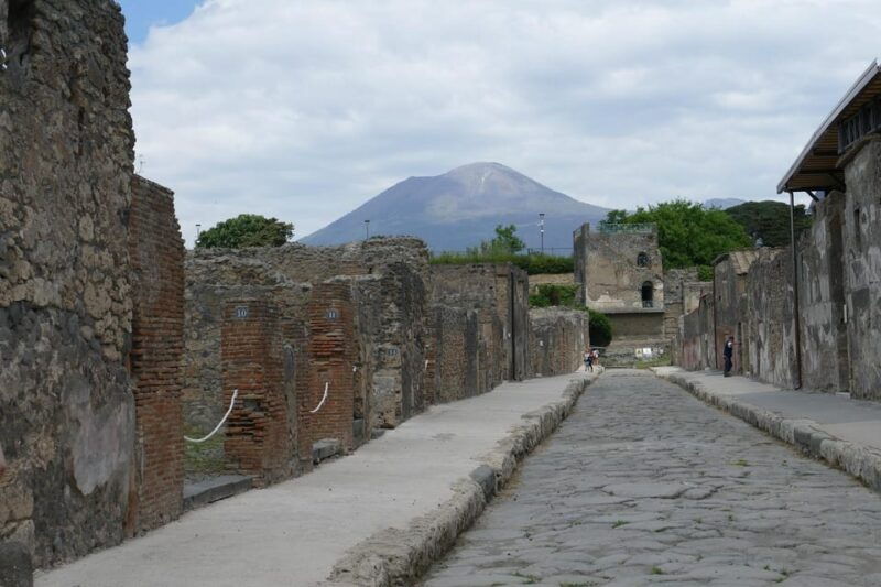from-paestumpompeii-guided-tour-with-wine-tasting-and-lunch
