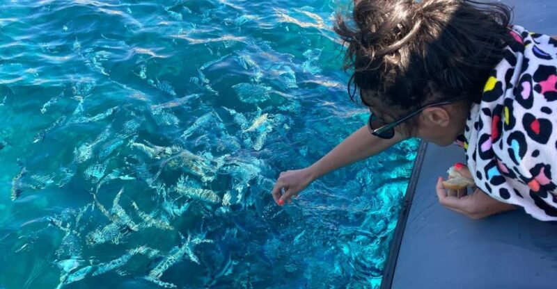 from-palau-corsican-archipelago-half-day-rib-boat-trip