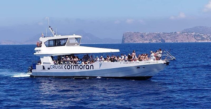 from-palma-afternoon-dolphin-watching-boat-tour