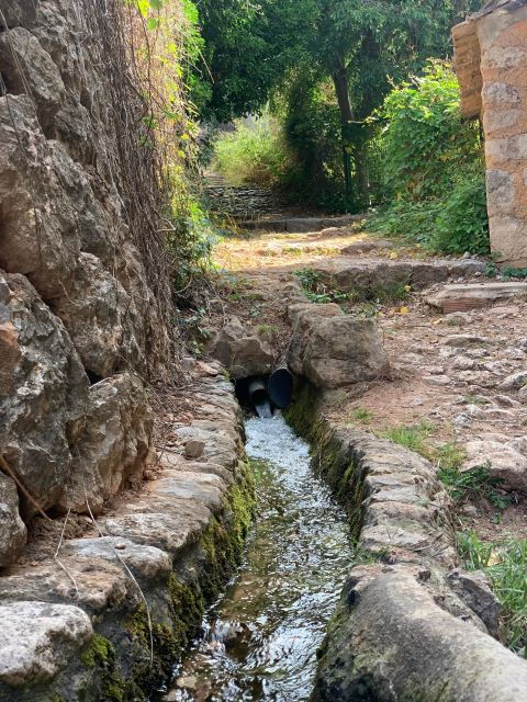 from-palma-soller-valley-walk-and-picnic-in-orange-farm