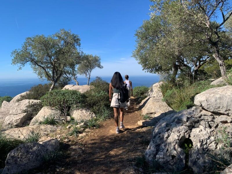 from-palma-valldemossa-tour-and-mountain-viewpoint-hike