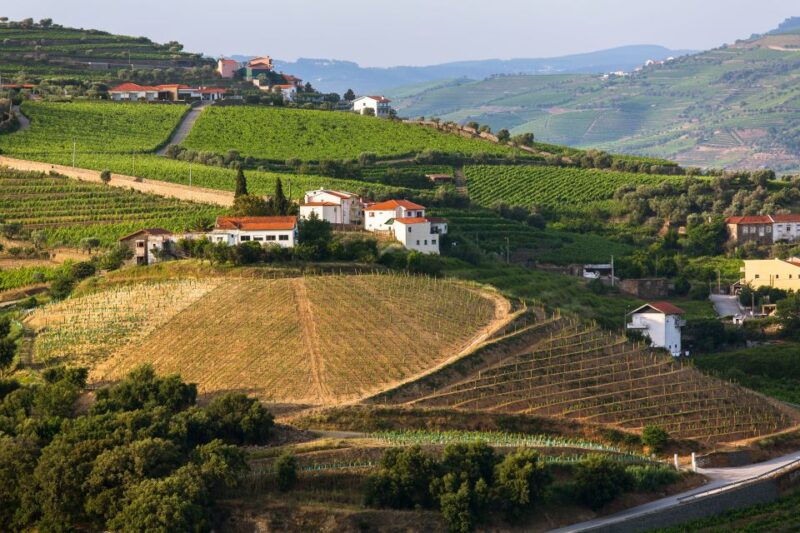 from-peso-da-regua-douro-valley-tour