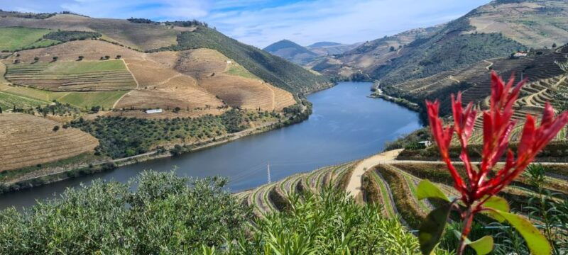 from-peso-da-regua-visit-3-wineries-tasting-and-viewpoint