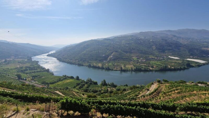 from-porto-day-douro-valley-wine-tour-2-wine-tasting-lunch