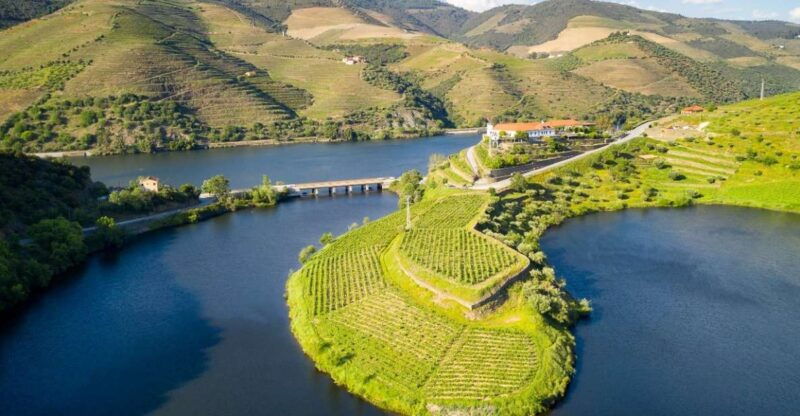 from-porto-private-douro-valley-tour-with-booking-service