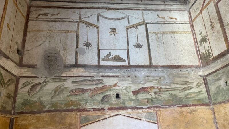 from-positano-pompeii-vesuvius-tour-small-group