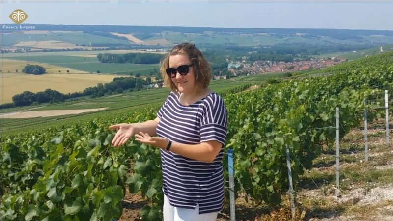 from-reims-champagne-day-trip-to-two-local-domains-lunch
