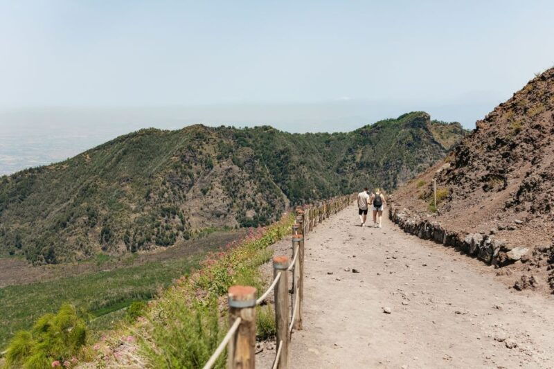 from-rome-pompeii-and-mount-vesuvius-day-trip-with-lunch
