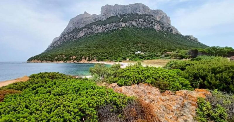 from-san-teodoro-tavolara-archipelago-mini-tour