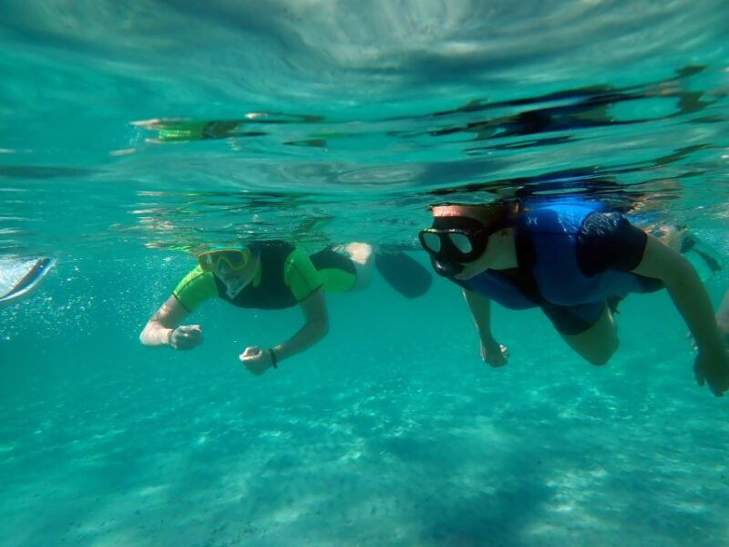 from-santa-pola-snorkel-trip-in-tabarca-island