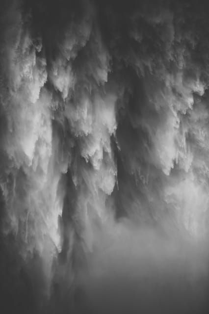 from-seattle-snoqualmie-twin-falls-and-ancient-forest-trip