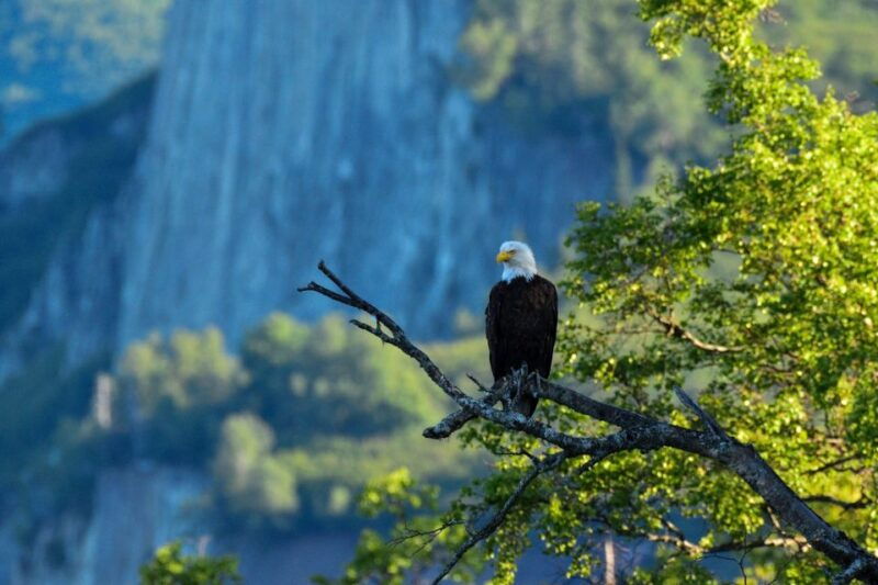 from-seward-4-hour-wilderness-hiking-tour