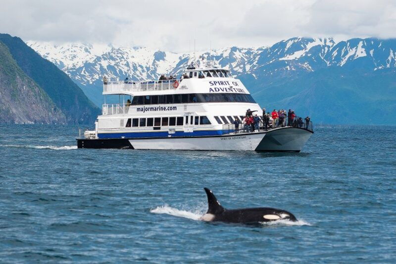 from-seward-kenai-fjords-national-park-cruise-with-lunch