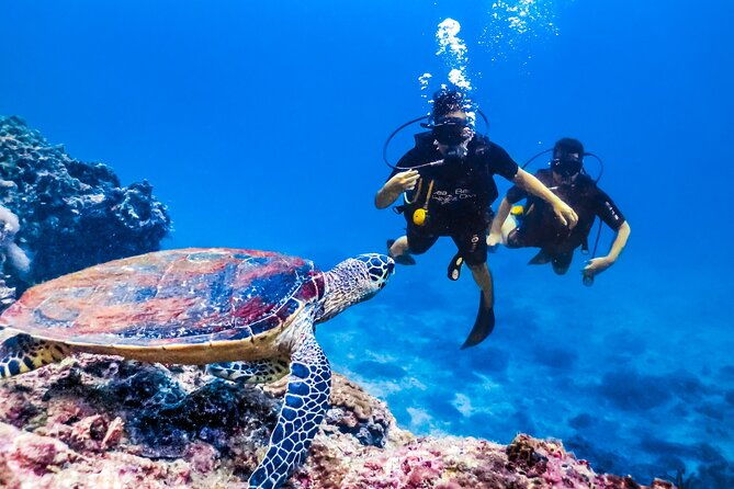 from-side-alanya-scuba-diving-with-2-time-dive-lunch