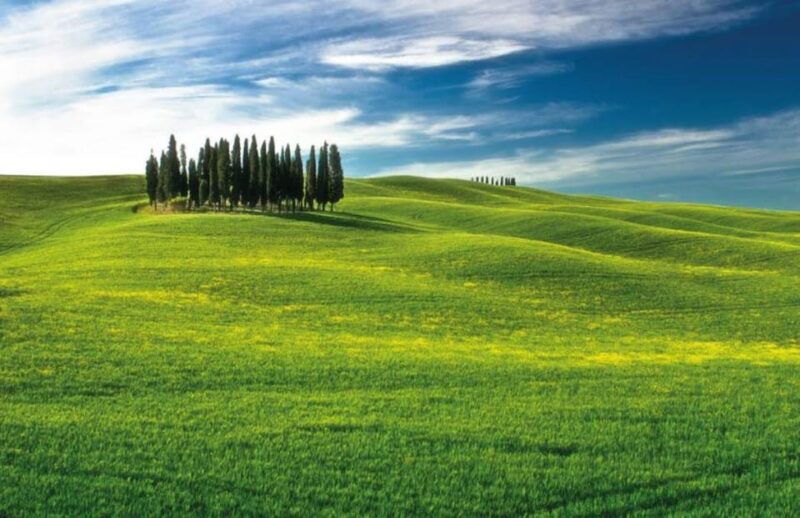 from-siena-san-gimignano-chianti-and-montalcino-day-trip