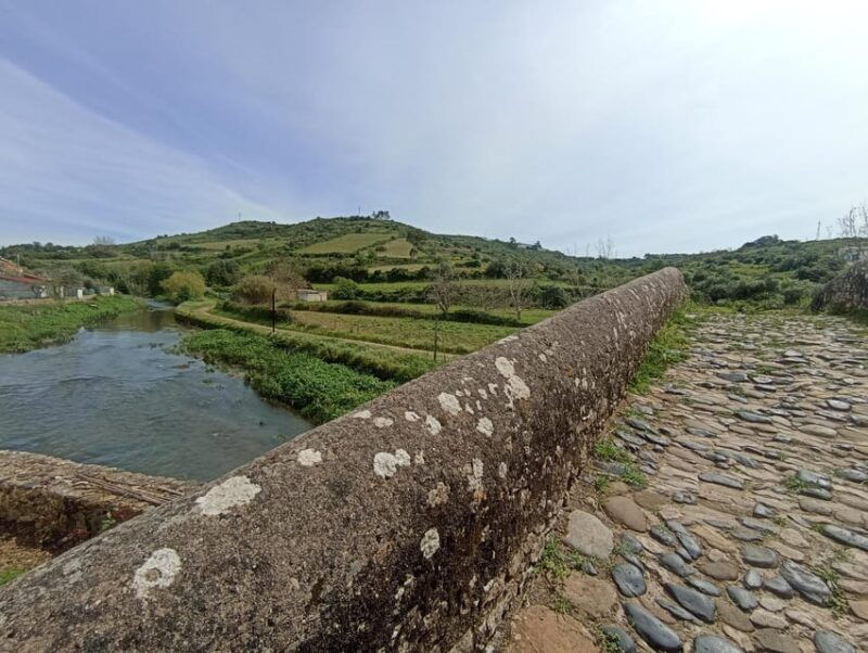 from-sintra-mafra-or-ericeira-hike-and-wine-tour