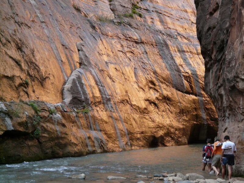 from-springdale-the-zion-narrows-hike-with-lunch