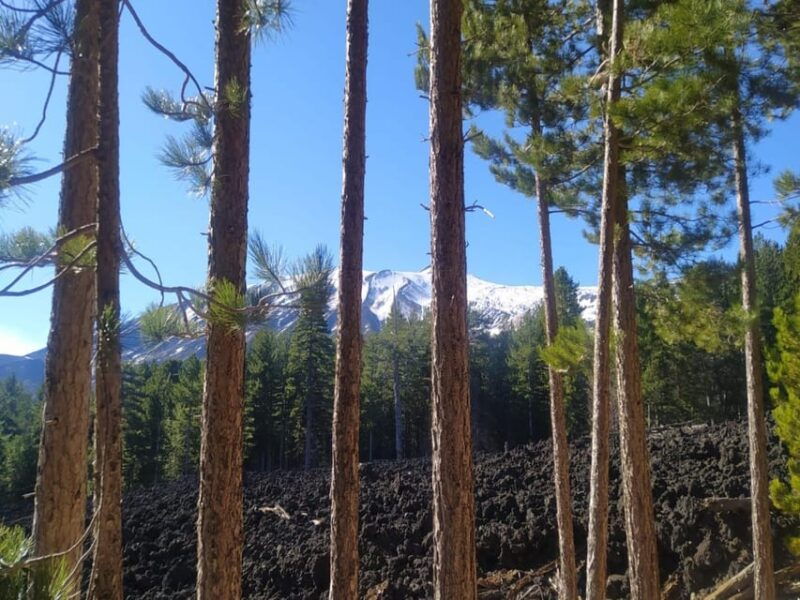 from-taormina-etna-snowshoe-walking-food-and-wine-tasting