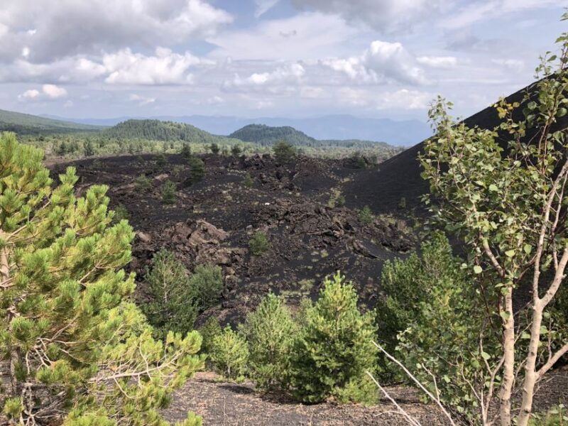 from-taormina-half-day-mount-etna-morning-trek