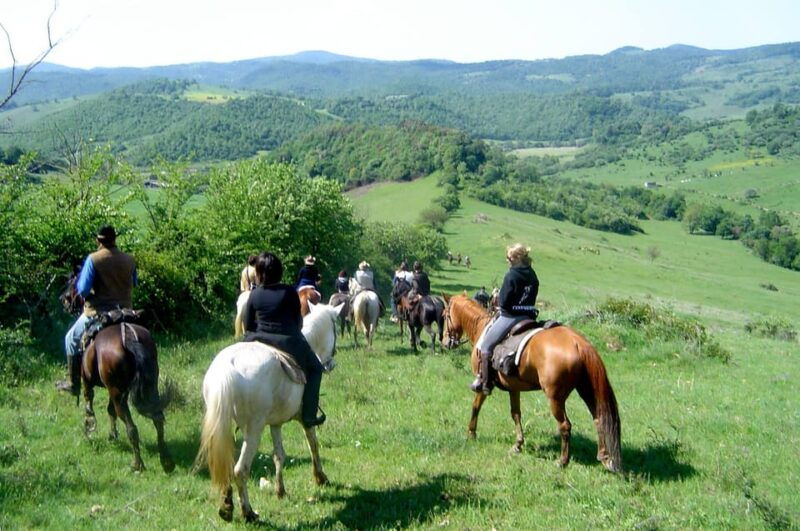 from-tropea-horseback-riding-tour-with-picnic-in-francica