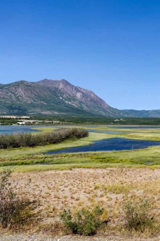 from-whitehorse-skagway-day-trip