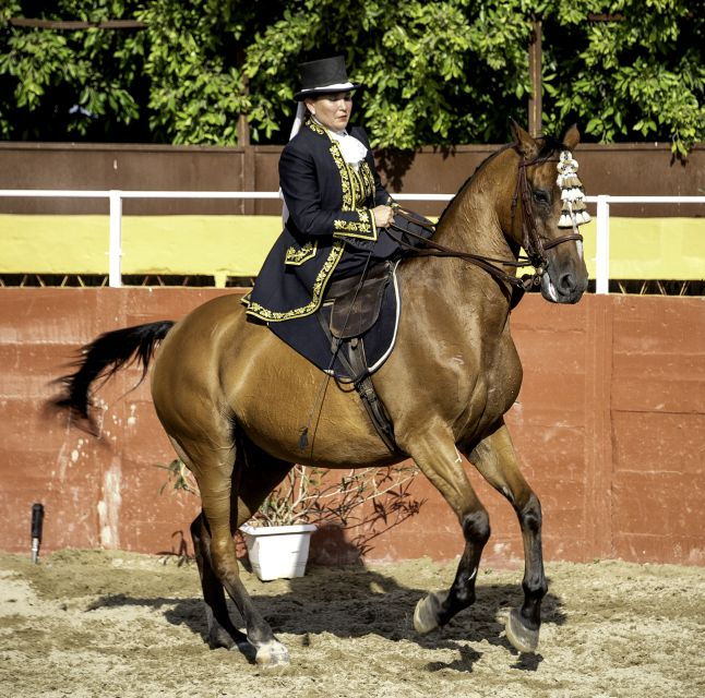 fuengirola-spanish-horse-show-with-optional-dinner-flamenco