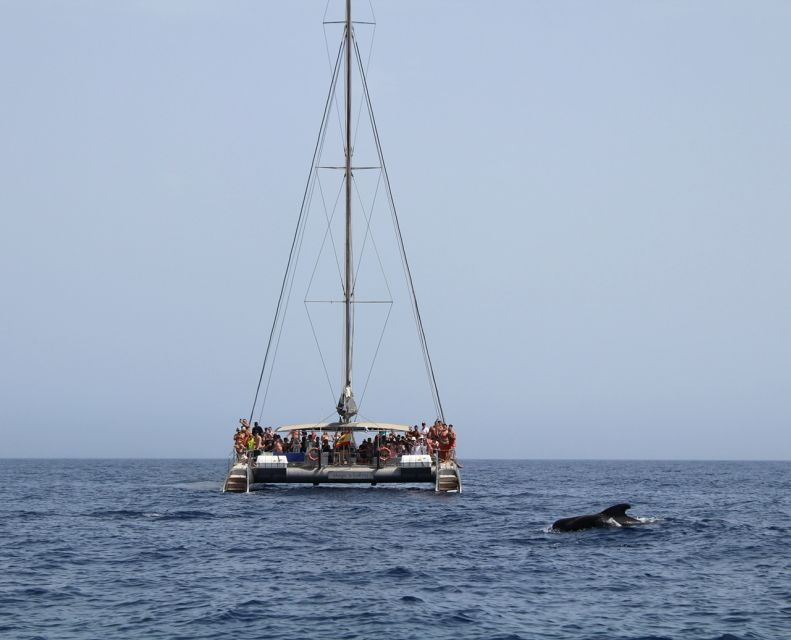 fuerteventura-magic-catamaran-trip-with-food-and-drinks