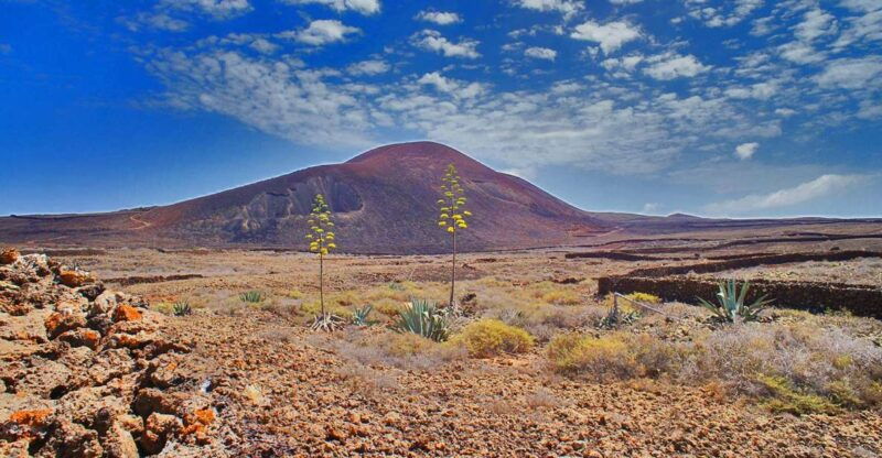 fuerteventura-trekking-tour-through-the-north-of-the-island