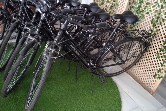 full-day-bike-rental-in-seville
