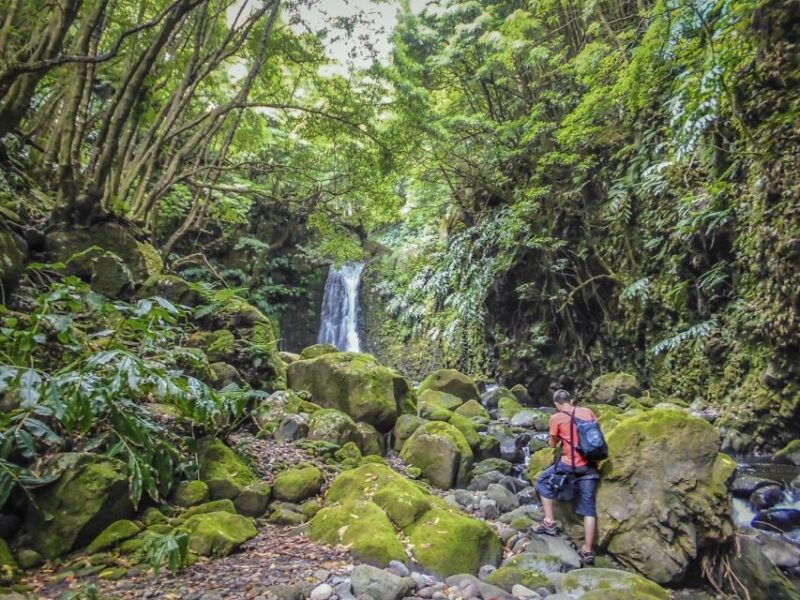 full-day-faial-da-terra-nordeste-from-ponta-delgada